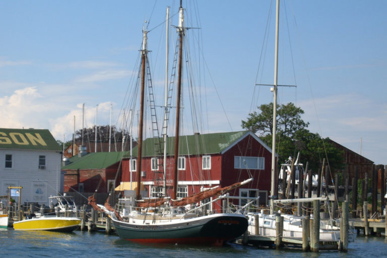 Olive Branch Restaurant & Bar Mediterranean & Turkish Cusine in